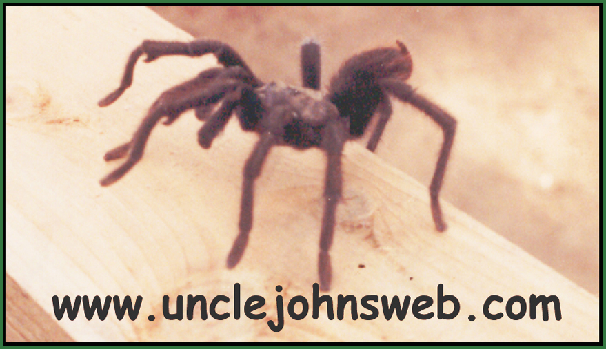 UJW